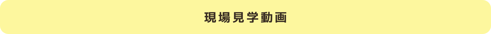 現場見学動画